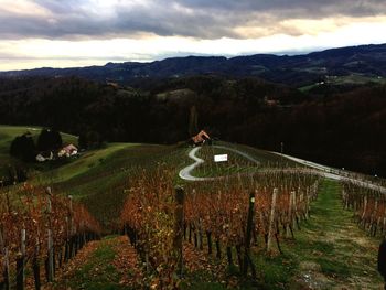 Scenic view of agricultural field against sky