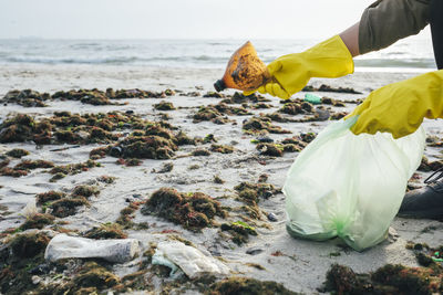 Hand's of woman collecting plastic bottle waste in garbage bag at beach