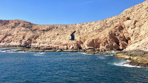 Bird flyin on front of rock formations in sea against clear blue sky