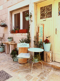 Potted plants on table outside building