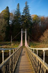 Footbridge amidst trees in forest against sky