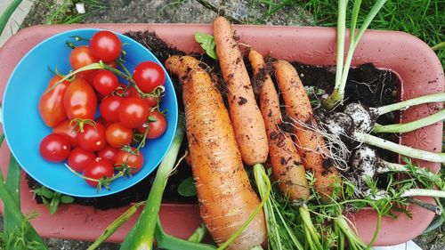 Close-up of carrots and tomatoes