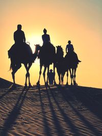 Silhouette people riding camels at desert during sunset