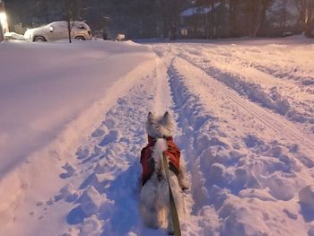 Man in snow