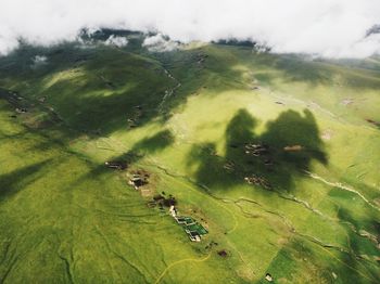 Aerial view of green landscape