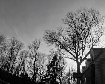 Low angle view of bare trees against sky