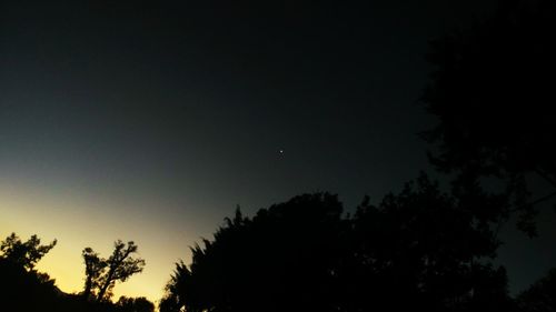 Low angle view of silhouette trees against sky at night