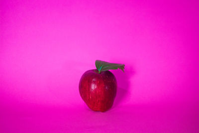 Close-up of fruit against pink background