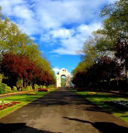 Footpath amidst trees