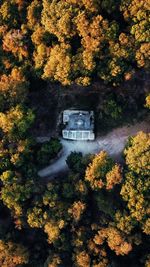 High angle view of trees in forest during autumn