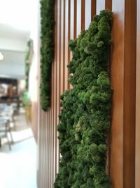 Green wall 