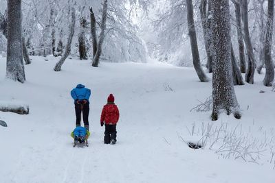 Rear view of father with children walking on snow covered field
