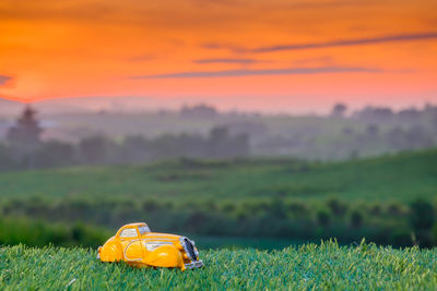 Yellow umbrella on field during sunset