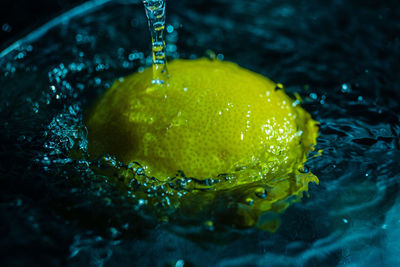 Close-up of water drops on fruit