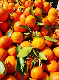 Full frame shot of orange fruits in market
