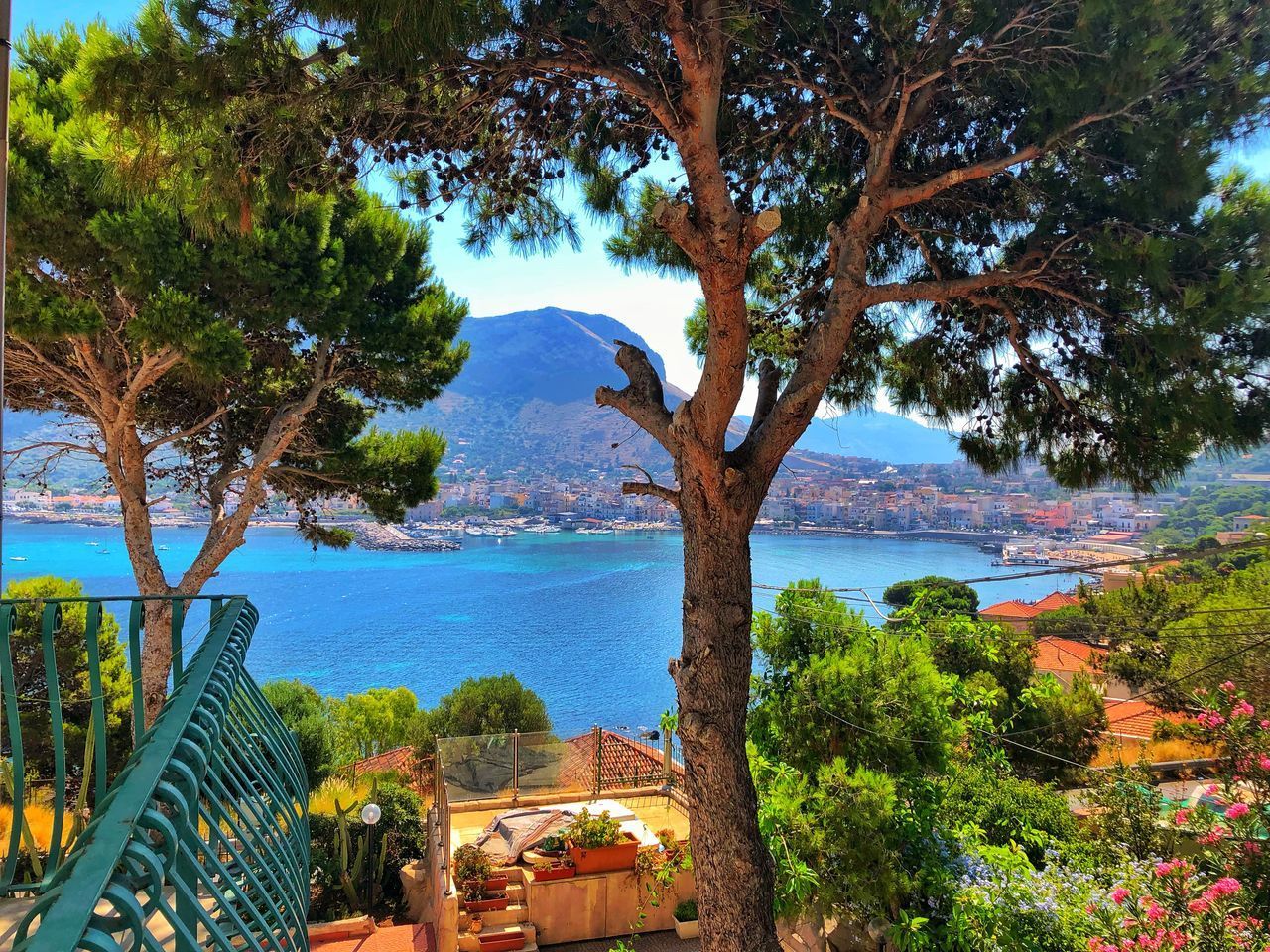 SCENIC VIEW OF SEA BY TREE AGAINST SKY