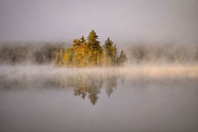 Scenic view of lake with trees in background