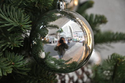 Reflection of christmas tree on glass