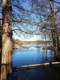 Bare tree by lake against sky