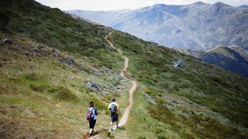 Tourists hiking on mountain