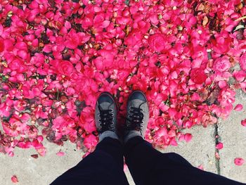 Low section of woman standing in park