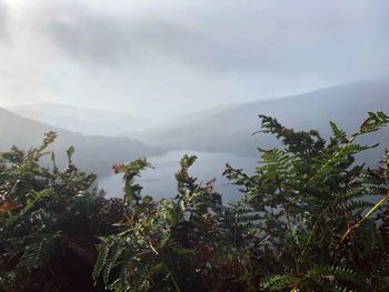 Scenic view of tree mountains against sky