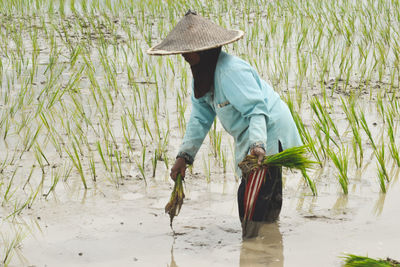 Female farmer working on agricultural field