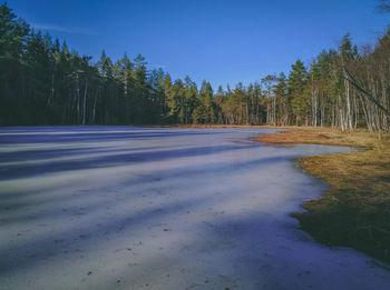 Scenic view of forest against clear blue sky