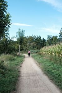 Rear view of person walking on road amidst field