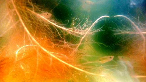 Close-up of illuminated water at night