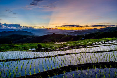 Scenic view of field against sky during sunset