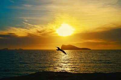 Silhouette bird on sea against sky during sunset