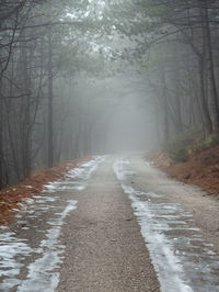 Road amidst trees in forest during winter