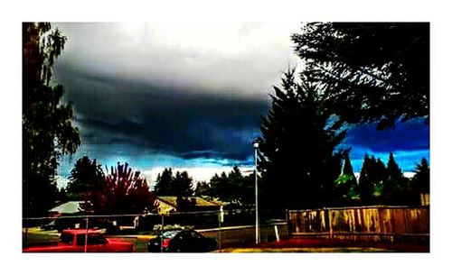 Cloudy sky over trees