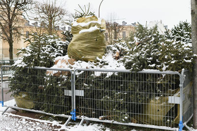 snow