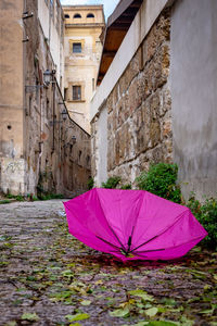 Pink umbrella on street amidst buildings