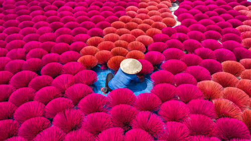 petal