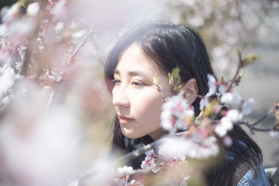 Close-up of woman amidst cherry blossom