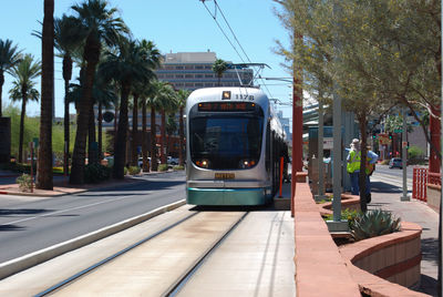 Tramway on road by palm trees in city