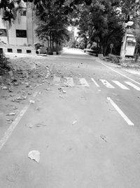 Road by trees and buildings in city