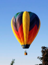 Low angle view of hot air balloons against sky