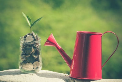 Close-up of watering can with plant in jar filled coins on retaining wall