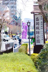 View of trees in city