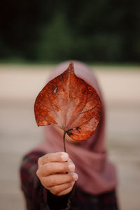 Close-up of hand holding maple leaf