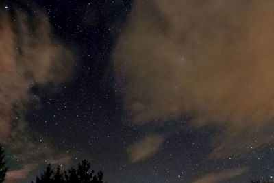 Low angle view of stars in sky at night