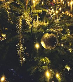 Illuminated christmas tree at night