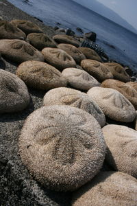 Close-up of pebbles on beach