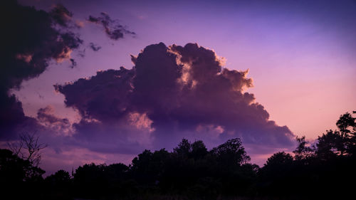 Low angle view of silhouette trees against sky at sunset