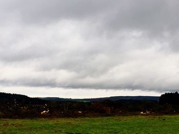 Scenic view of field against sky