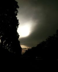 Silhouette of trees against sky at sunset